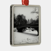 Winter Centeral Park NYC. Metalen Ornament (Rechts)