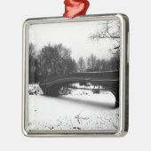 Winter Centeral Park NYC. Metalen Ornament (Links)