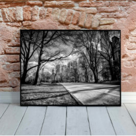 Winter Central Park New York City Black en White Poster