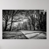Winter Central Park New York City Black en White Poster (Voorkant)