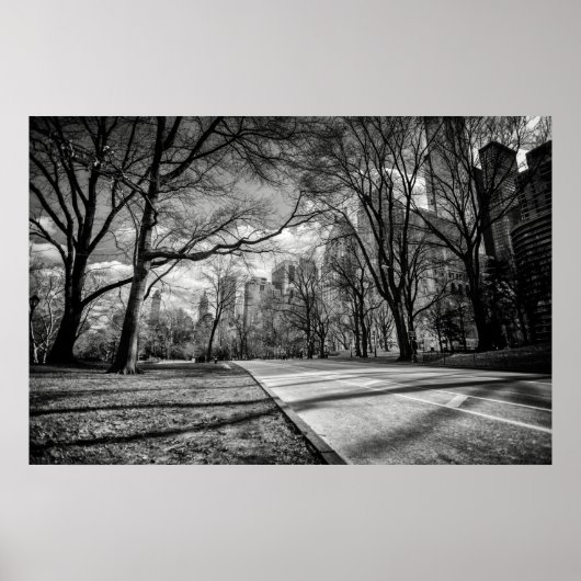 Winter Central Park New York City Black en White Poster (Voorkant)