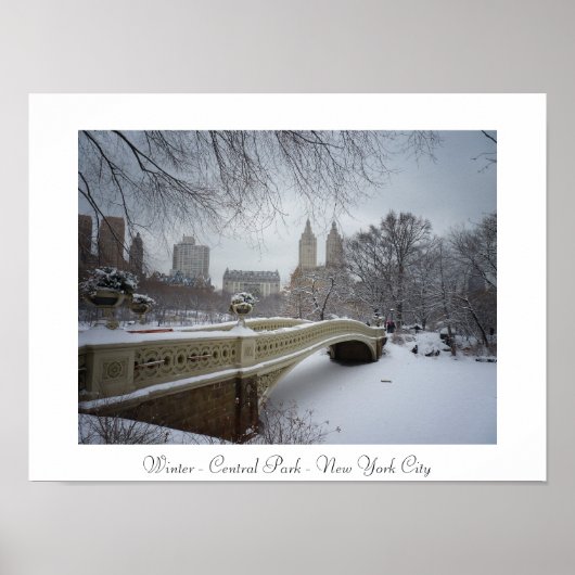 Winter - Central Park - New York City Poster (Voorkant)