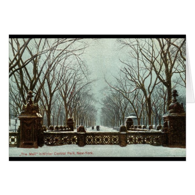 Winter Central Park NY  c1910 (Voorkant Horizontaal)