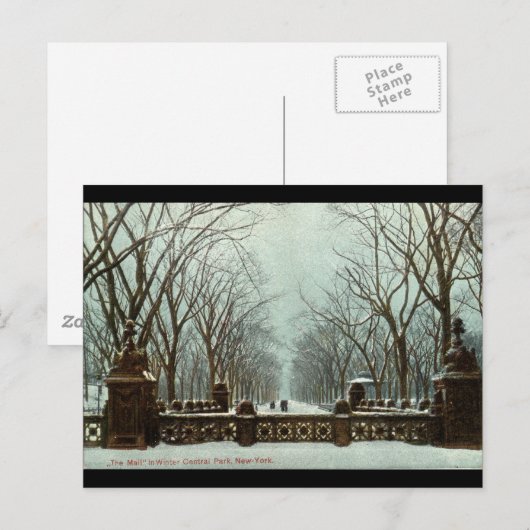 Winter Central Park NY  c1910 Briefkaart (Voorkant / Achterkant)