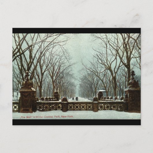 Winter Central Park NY  c1910 Briefkaart (Voorkant)