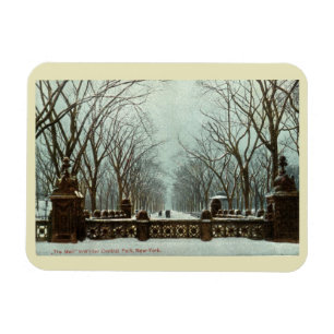 Winter Central Park NY c1910 Magneet