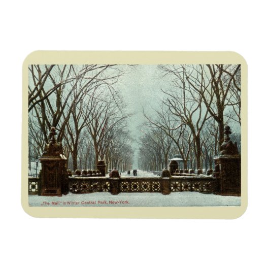 Winter Central Park NY  c1910 Magneet (Horizontaal)