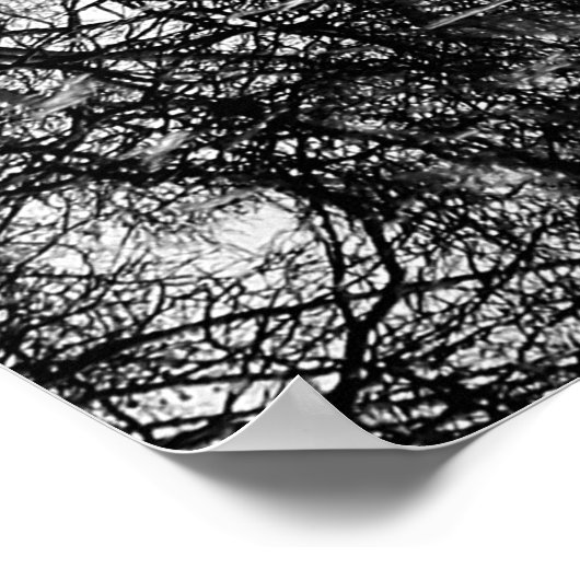 Winter Central Park, NYC Landscape Poster (Hoek)