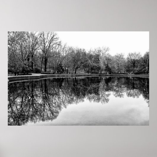 Winter Central Park, NYC Landscape Poster (Voorkant)