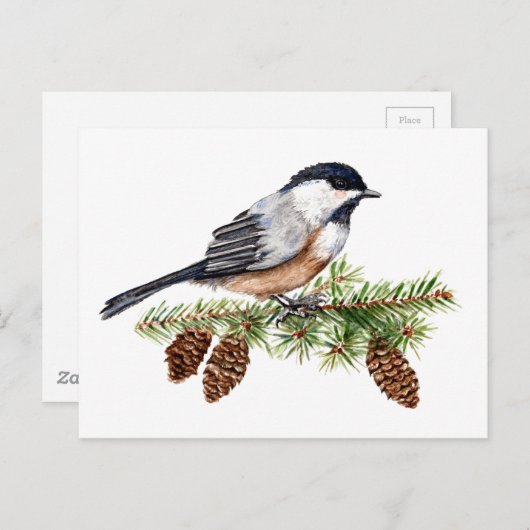 Winter Chickadee Briefkaart (Voorkant / Achterkant)