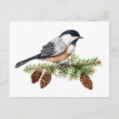 Winter Chickadee Briefkaart (Voorkant)