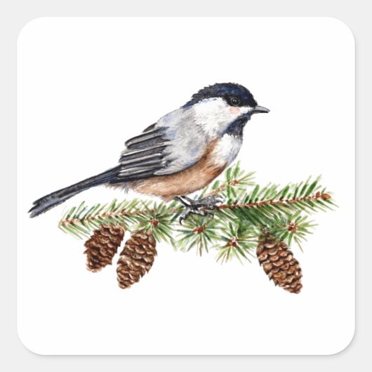 Winter Chickadee Vierkante Sticker (Voorkant)
