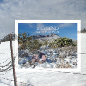 Winter, Chisos gebergte, Big Bend Nationaal Park Briefkaart