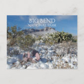 Winter, Chisos gebergte, Big Bend Nationaal Park Briefkaart (Voorkant)