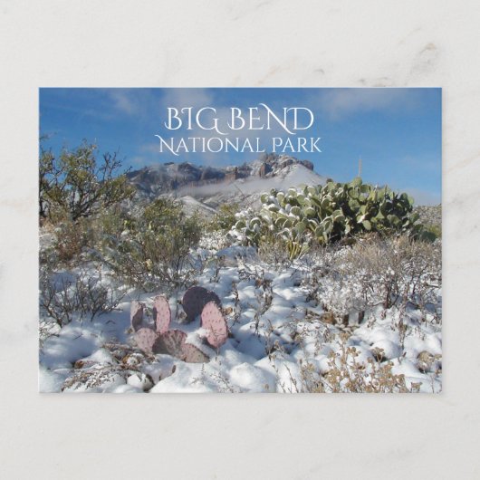 Winter, Chisos gebergte, Big Bend Nationaal Park Briefkaart (Voorkant)