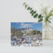 Winter, Chisos gebergte, Big Bend Nationaal Park Briefkaart (Staand voorkant)
