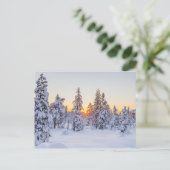 Winter Coniferen Zonsondergang Natuur Briefkaart (Staand voorkant)