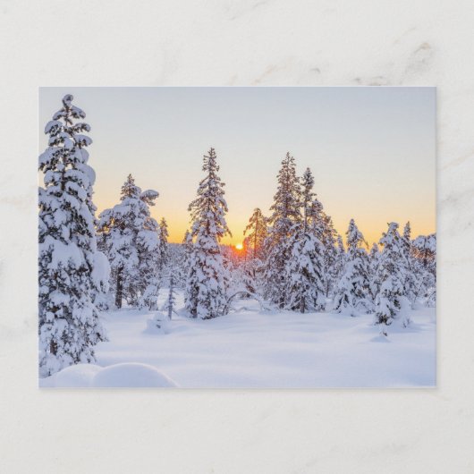 Winter Coniferen Zonsondergang Natuur Briefkaart (Voorkant)