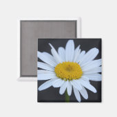 Winter Daisy Magneet (Voorkant / Achterkant)