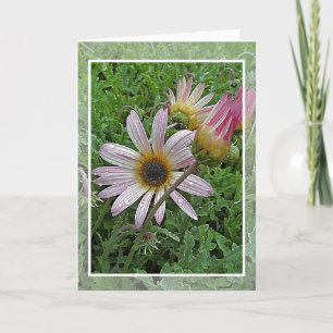 Winter Daisy Verjaardag Kaart