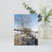 Winter De Macclesfield Forest Card Briefkaart (Staand voorkant)