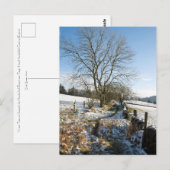 Winter De Macclesfield Forest Card Briefkaart (Voorkant / Achterkant)