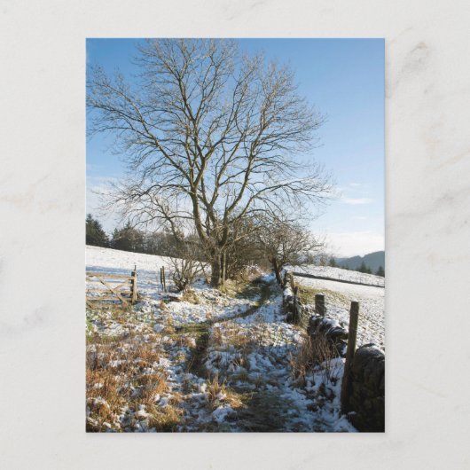 Winter De Macclesfield Forest Card Briefkaart (Voorkant)