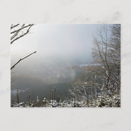 Winter De Macclesfield Forestkaart Briefkaart (Voorkant)