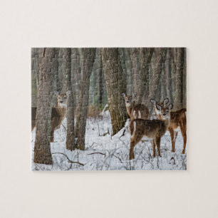 Winter Deer 10x8 uitdagend Legpuzzel