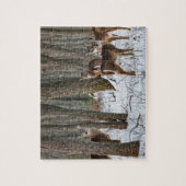 Winter Deer 10x8 uitdagend Legpuzzel (Verticaal)
