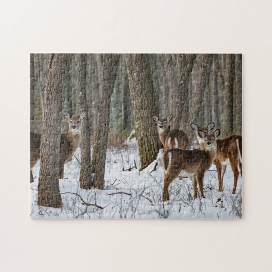 Winter Deer 14x11 uitdagend Legpuzzel (Horizontaal)