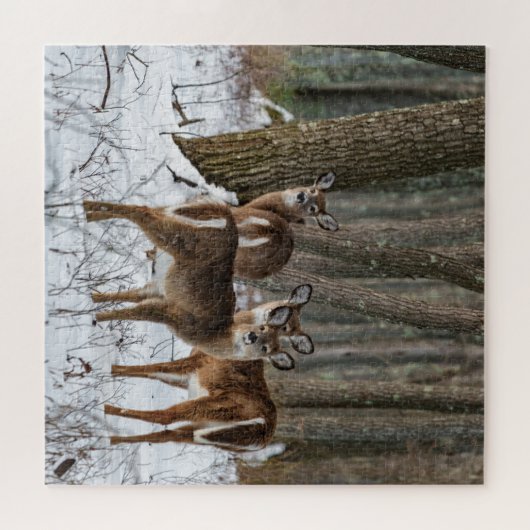 Winter Deer 20x20 uitdagend Legpuzzel (Horizontaal)