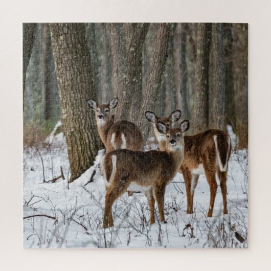 Winter Deer 20x20 uitdagend Legpuzzel (Verticaal)