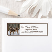 Winter Deer Etiket (Insitu)