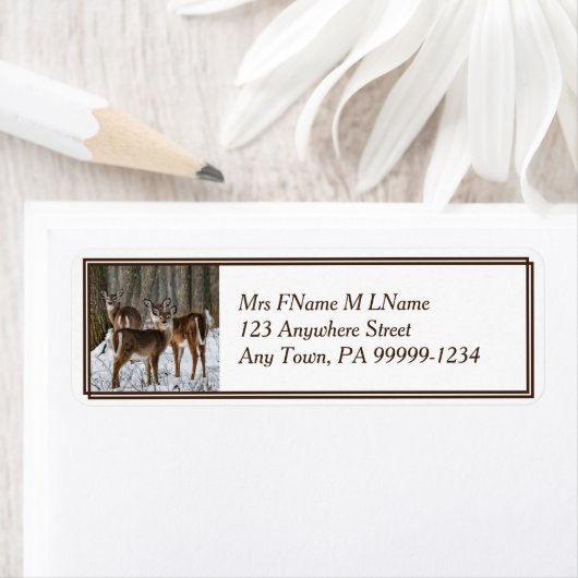 Winter Deer Etiket (Insitu)