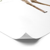 Winter Deer Family in Snow Poster (Hoek)