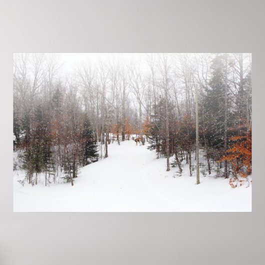 Winter Deer Poster (Voorkant)