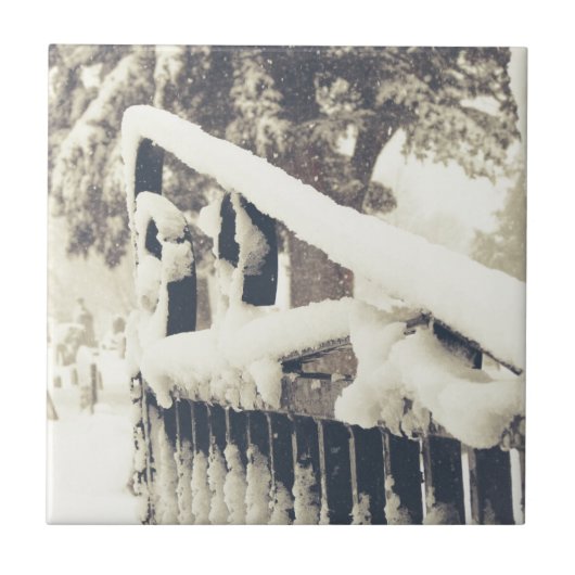 Winter Dieetgewas Tegeltje (Voorkant)