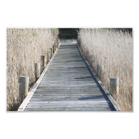 Winter Dock Foto Afdruk (Voorkant)