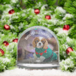 Winter Dog's Foto van Kerstmis Sneeuwbol<br><div class="desc">Foto Sneeuw Wereldbol met de favoriete foto van uw hond. Personaliseer het met zijn/haar naam en jaar. Verander de tekst en personaliseer deze zoals u dat wilt.</div>