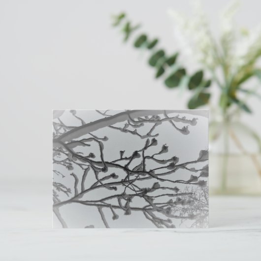 Winter droom Briefkaart (Staand voorkant)