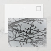 Winter droom Briefkaart (Voorkant / Achterkant)