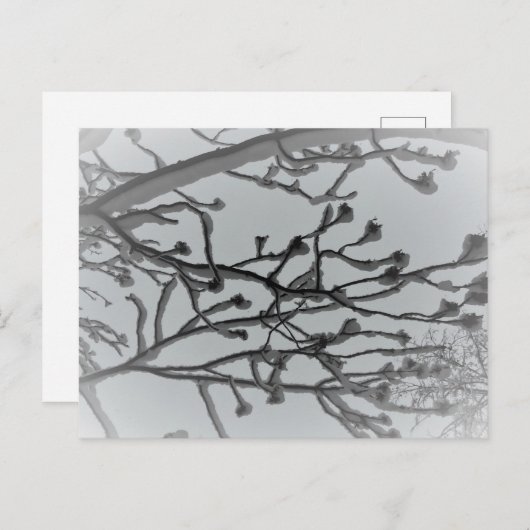 Winter droom Briefkaart (Voorkant / Achterkant)