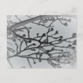 Winter droom Briefkaart (Voorkant)