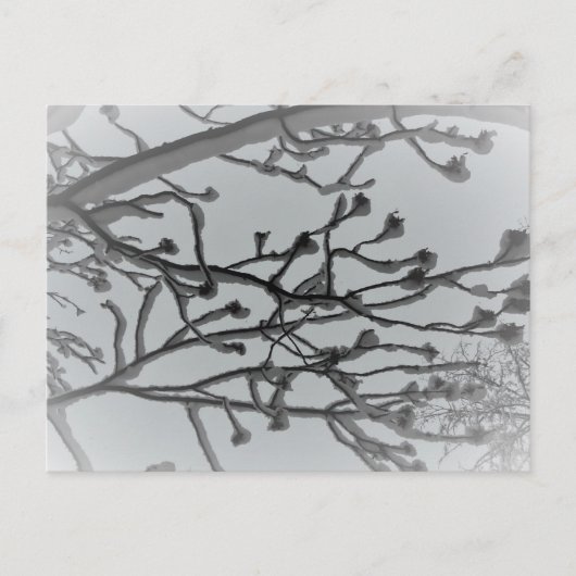 Winter droom Briefkaart (Voorkant)