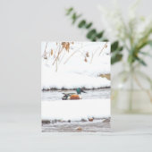 Winter Duck Briefkaart (Staand voorkant)
