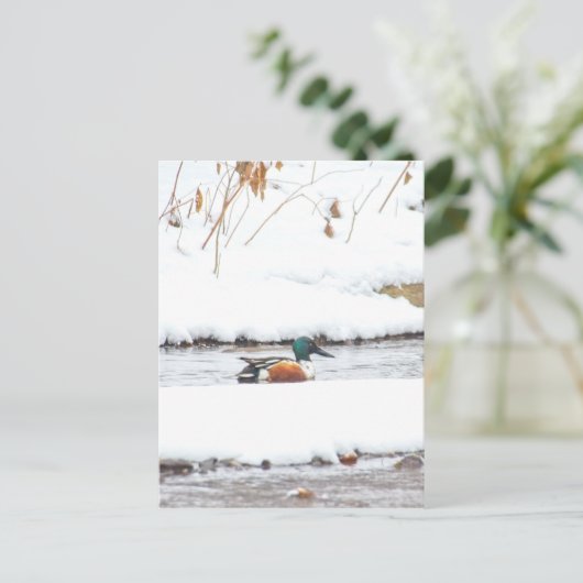 Winter Duck Briefkaart (Staand voorkant)