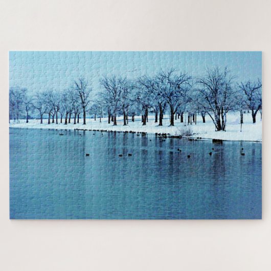 Winter Duck Pond Scene 1014 Piece Puzzle Legpuzzel (Horizontaal)