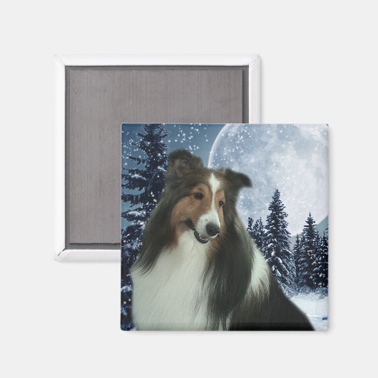 Winter Duncan Magnet (Voorkant / Achterkant)