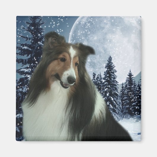 Winter Duncan Magnet (Voorkant)